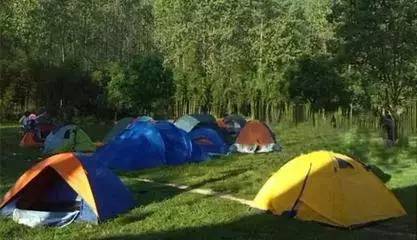 游戏专题 第48页