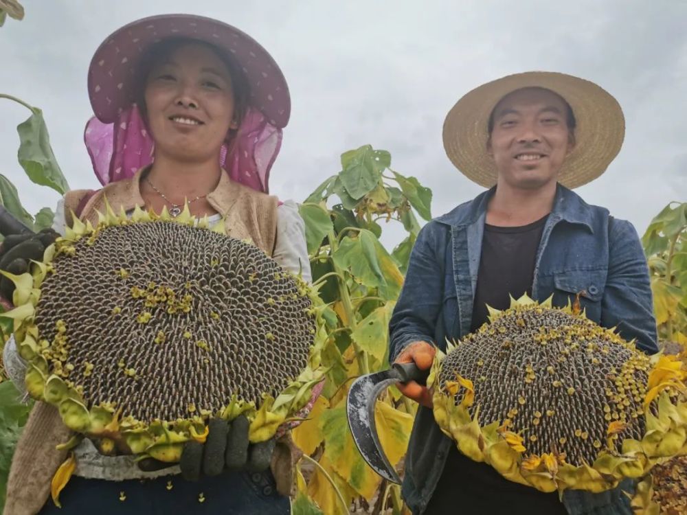 热点生活 第45页