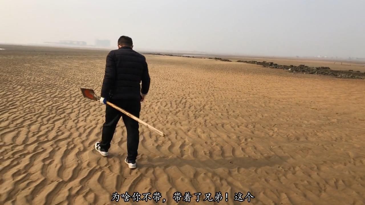 地方新闻 第11页